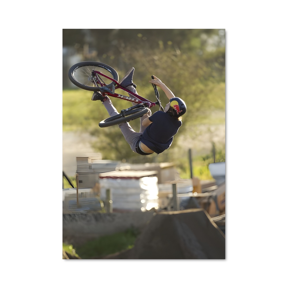 Poster Tricks et Passion
